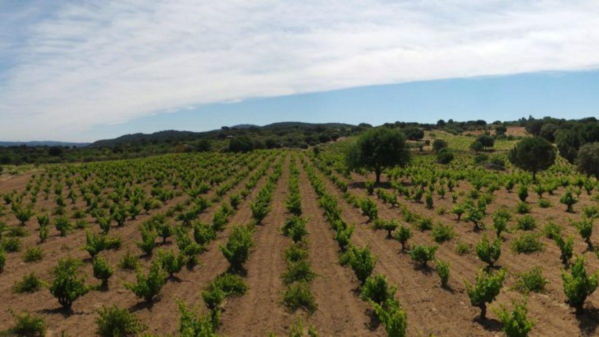 San Martín de Valdeiglesias