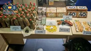 Diez años de cárcel a un detenido en Alicante con 20 kilos de cocaína en una furgoneta