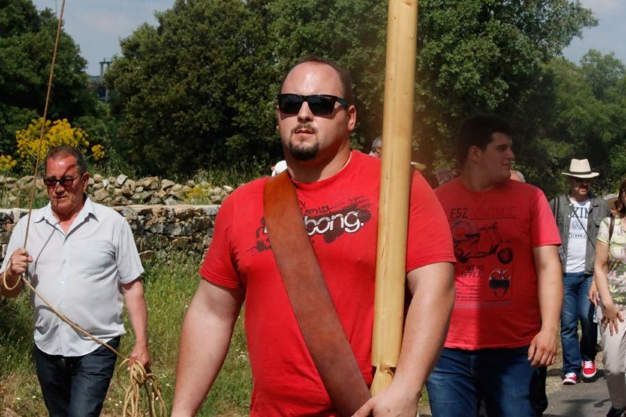 Romería de la Virgen del Castillo en Fariza