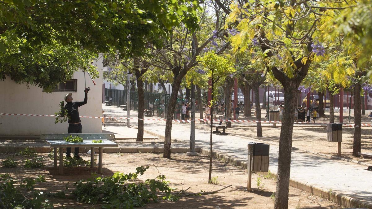 El CEIP Blasco Ibáñez comparte espacio con los clientes y usuarios del parque de l'Hort de Feliu.