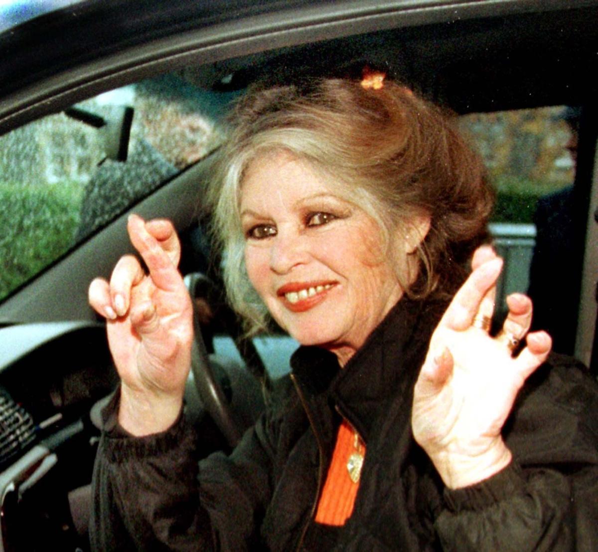 La vida de Brigitte Bardot, en imágenes