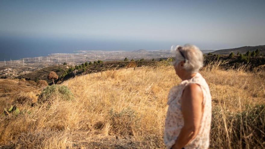 Neglected Tenerife Hamlet Highlights Rural Abandonment Crisis