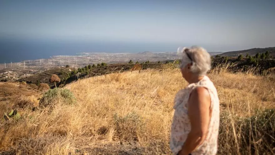 Tenerife Vaciada: Fuente Nueva, Arico