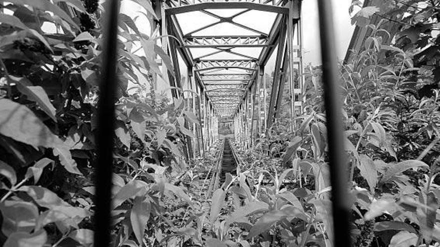 El puente de los Ingleses, cubierto de vegetación, en el que se habilitará una pasarela para cruzar el río Nalón.