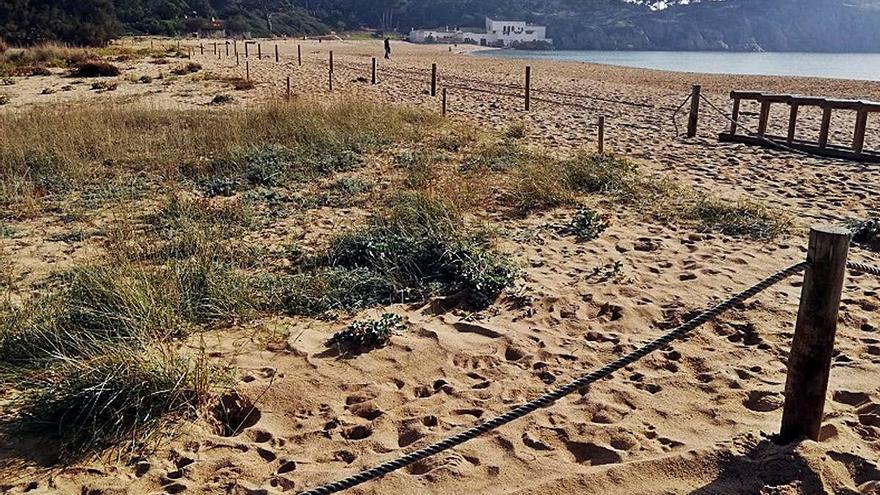 El sistema dunar de la platja de Castell, ja delimitat.