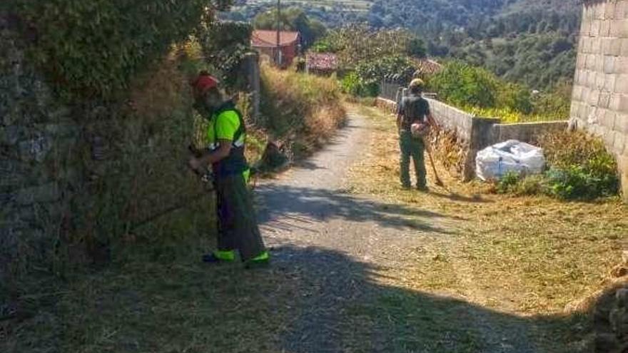 Trabajos de desbroce. // Faro