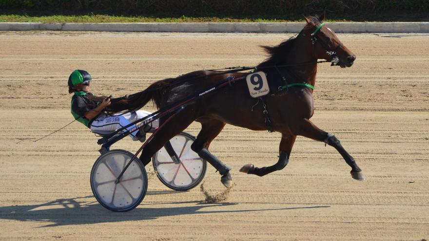 Francina JS luchará por continuar con su exitosa racha triunfal en Manacor