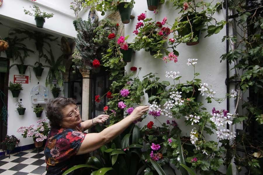 Los Patios de córdoba: Judería (2)