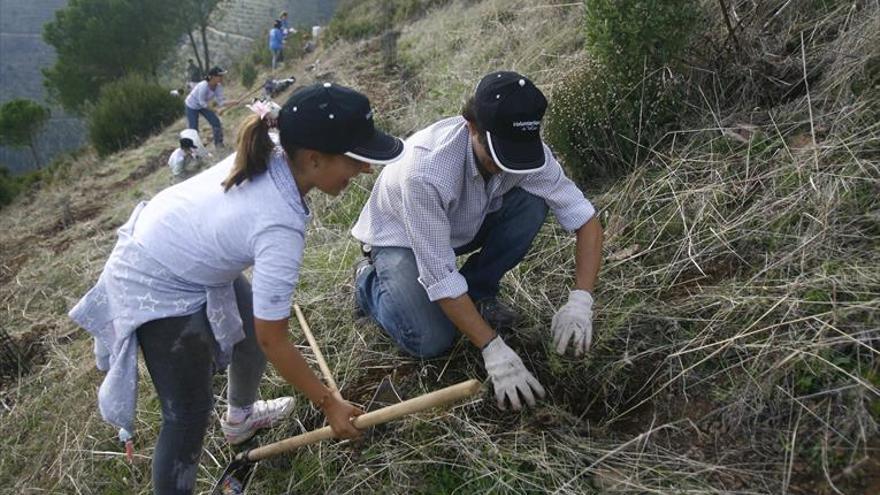 Amigos de la Ribera reforestará cinco hectáreas en el Marco