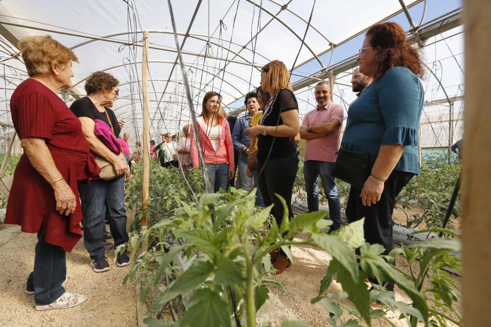 Elche celebra el Día de la Mujer Rural