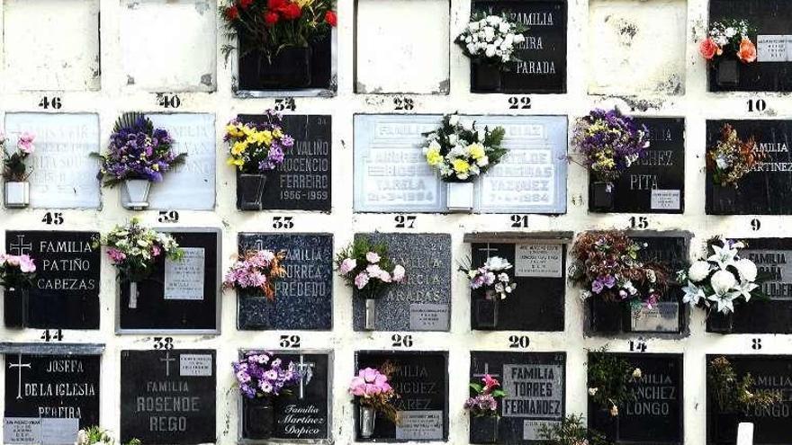 Ceniceros en el cementerio de San Amaro.