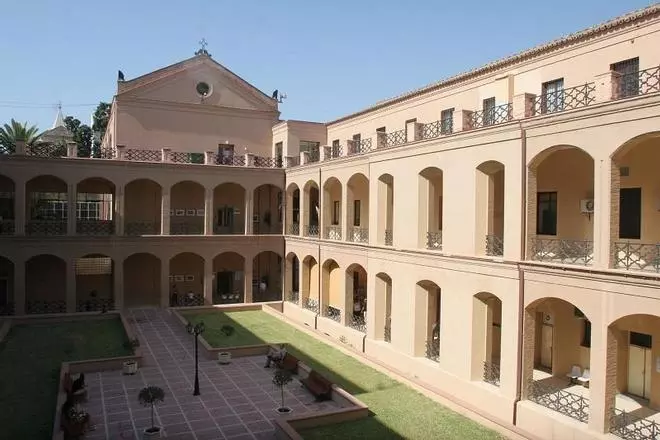Colectivos piden evitar la tala de 300 árboles por la construcción del tercer hospital