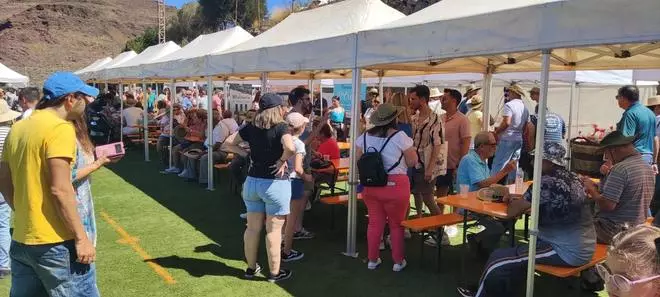 III Feria Agrotasarte en La Aldea de San Nicolás