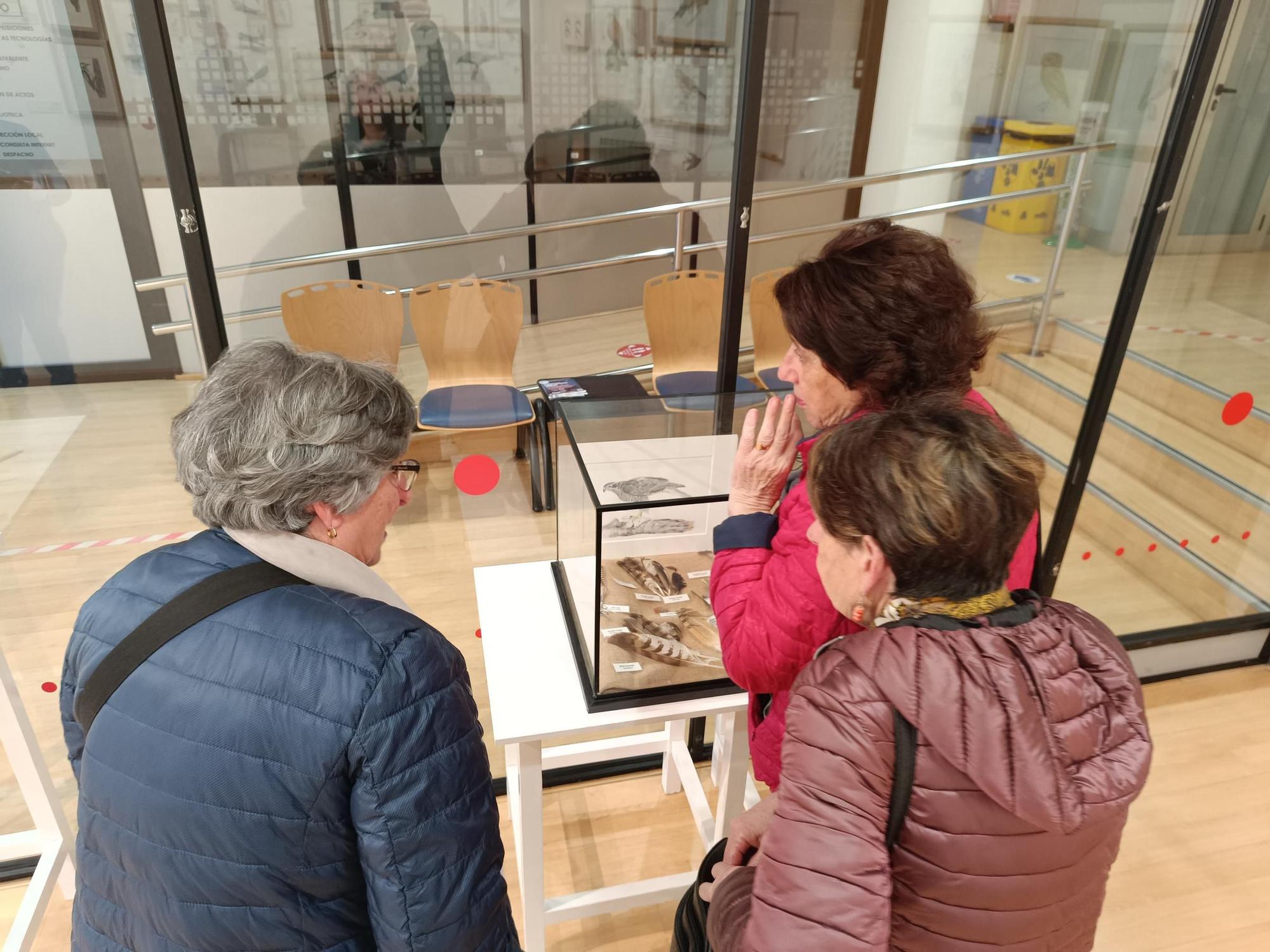 "Aves de tu entorno", la exposición de Isabel González en Posada de Llanera