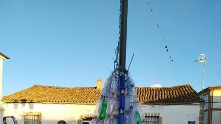 Elaboran un árbol de navidad con botellas