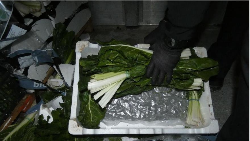 Intervenen 130 quilos de marihuana amagats entre bledes en un camió a Llers