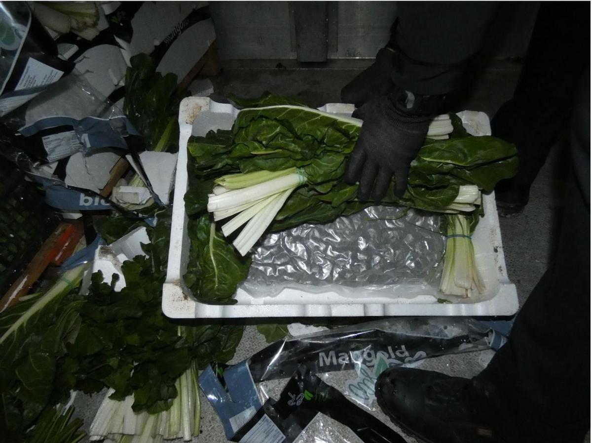 Les bosses amb la droga entre les bledes