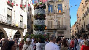 Temps de Flors Girona, 2024