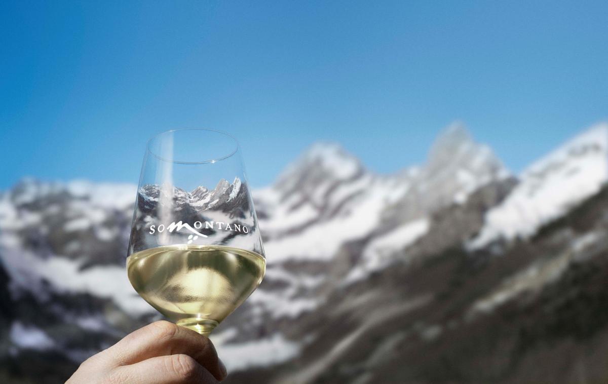 Vino de la Denominación de Origen Somontano, en Aragón; otro de los proyectos de LEADER