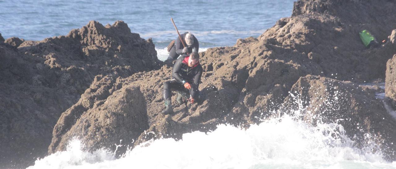 Los percebeiros de Cangas trabajando en el mes de diciembre en la Costa da Vela.