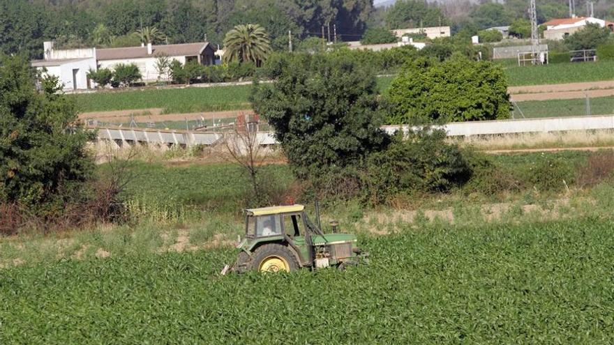 El PSOE extremeño plantea celebrar las elecciones al campo a finales de 2016 o principios 2017