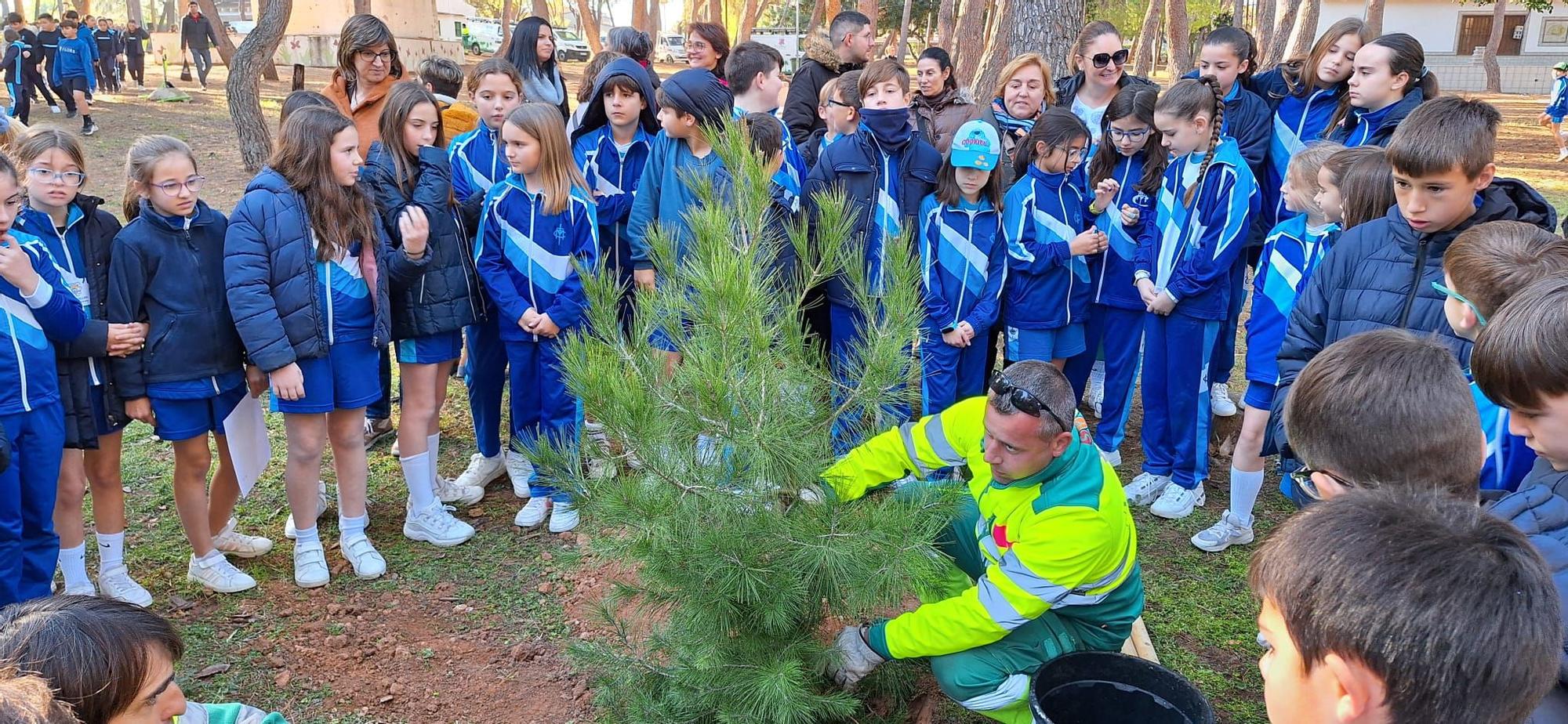 Los escolares de Vila-real celebran el Día del Árbol en el paraje del Termet