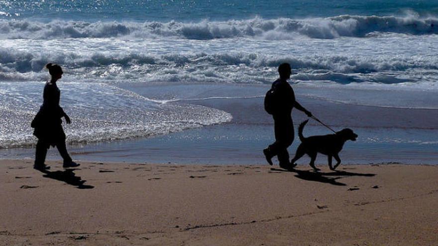 Una parella passeja el gos per una platja de la Costa Brava. En molts municipis, aquesta acció està prohibida fins i tot quan la platja és buida.