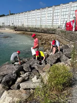 Mares Circulares recoge con 42 voluntarios 367 kilos de residuos marinos en el espigón de Massó en Cangas