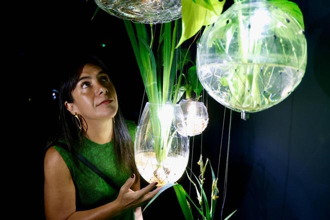 Tania Candiani inaugura en el IVAM la exposición inmersiva 'Radix'