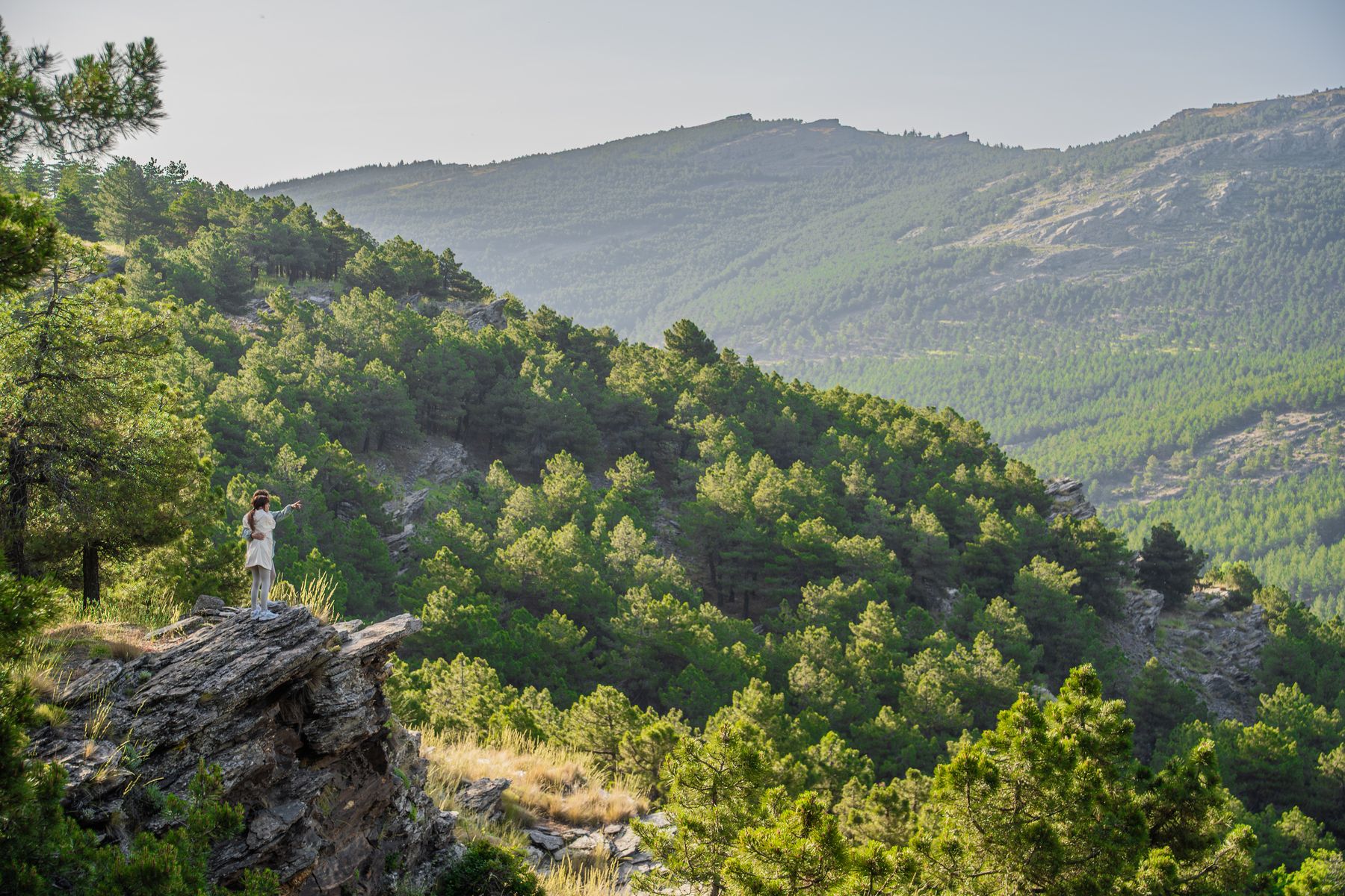 Grupo de senderistas en la Sierra de Los Fialbres.