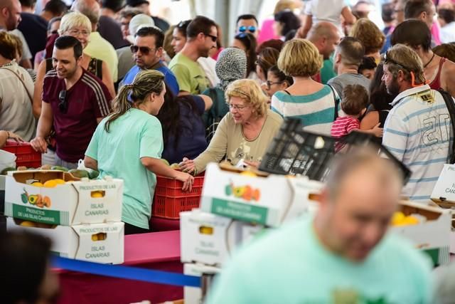 II Feria del Aguacate en Arguineguín