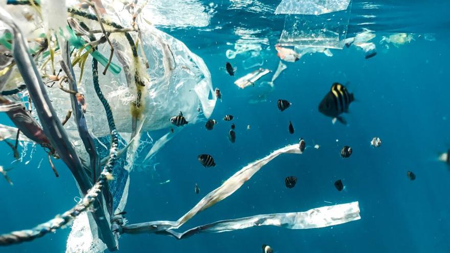 Los microplásticos ahogan los océanos: ya contaminan la Antártida