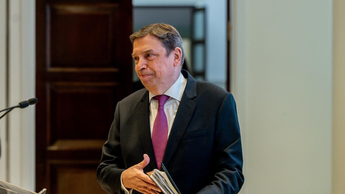 El ministro de Agricultura, Pesca y Alimentación, Luis Planas.