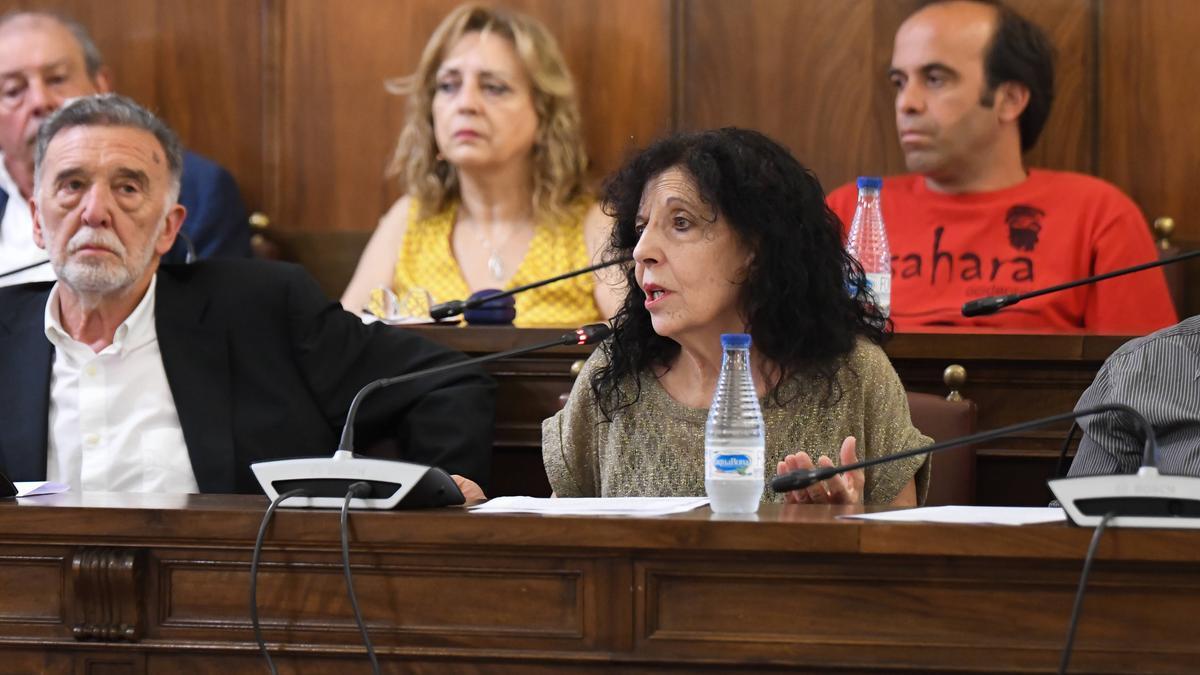 Laura Rivera portavoz de IU en la Diputación