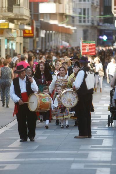 San Pedro 2016: Los trajes regionales toman Zamora