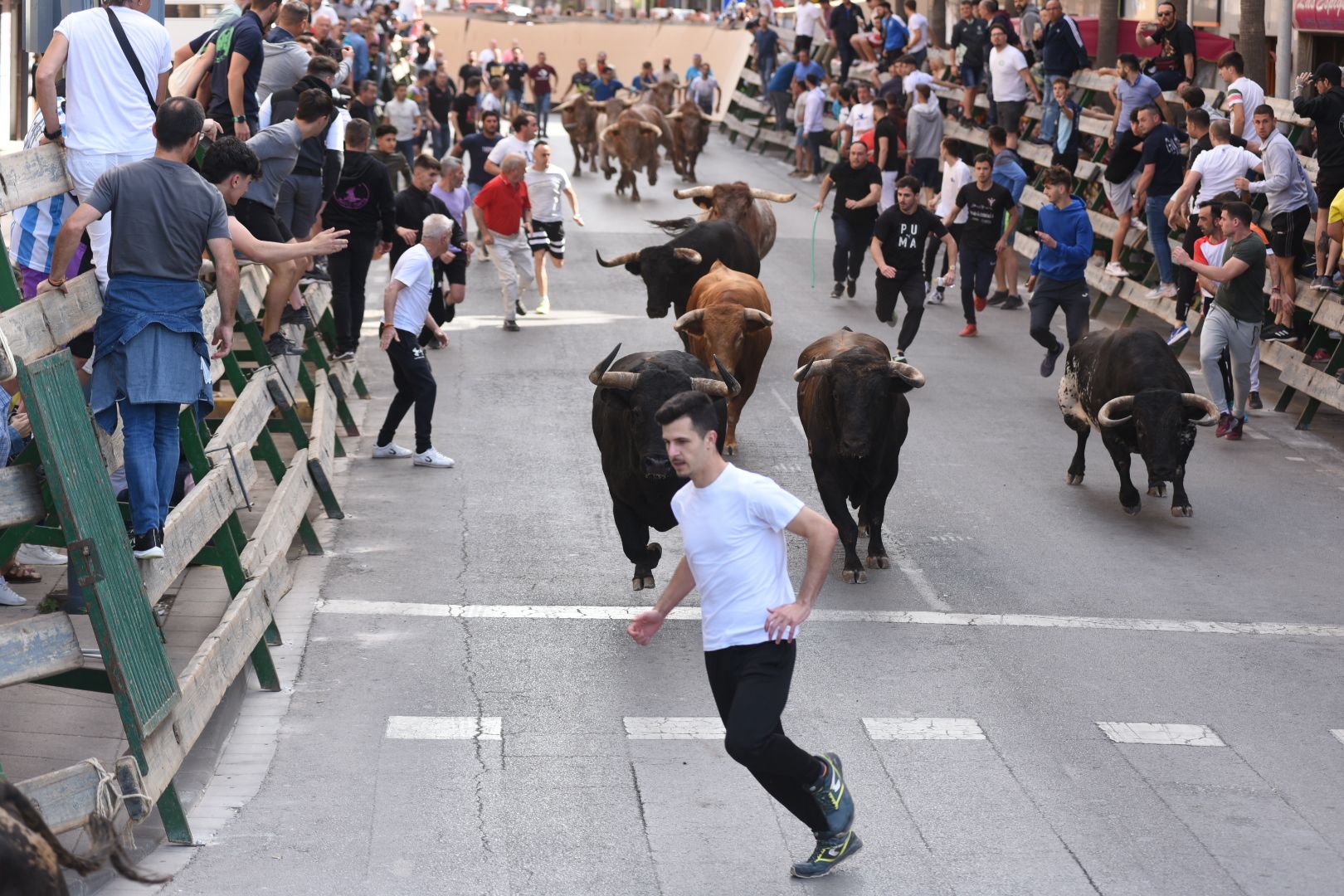 Las imágenes de la séptima jornada de las fiestas de Sant Pasqual del 2023 en Vila-real