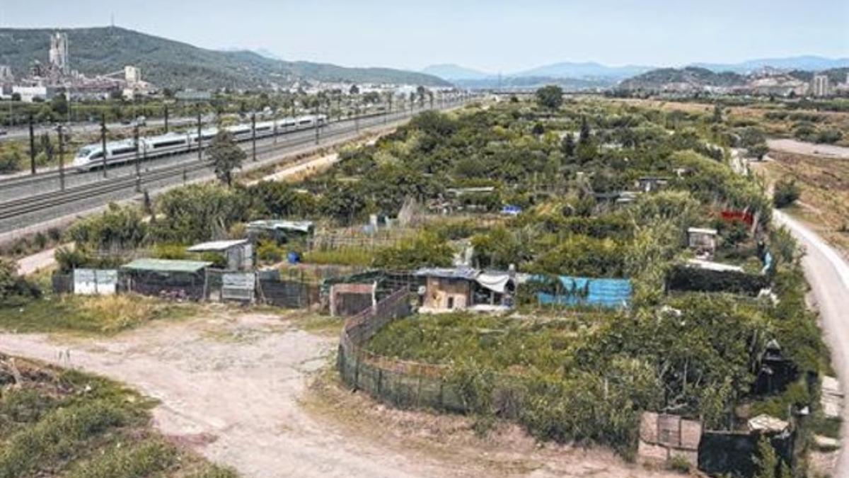 El AVE pasa junto a los huertos ilegales instalados junto al río, el 2 de julio.