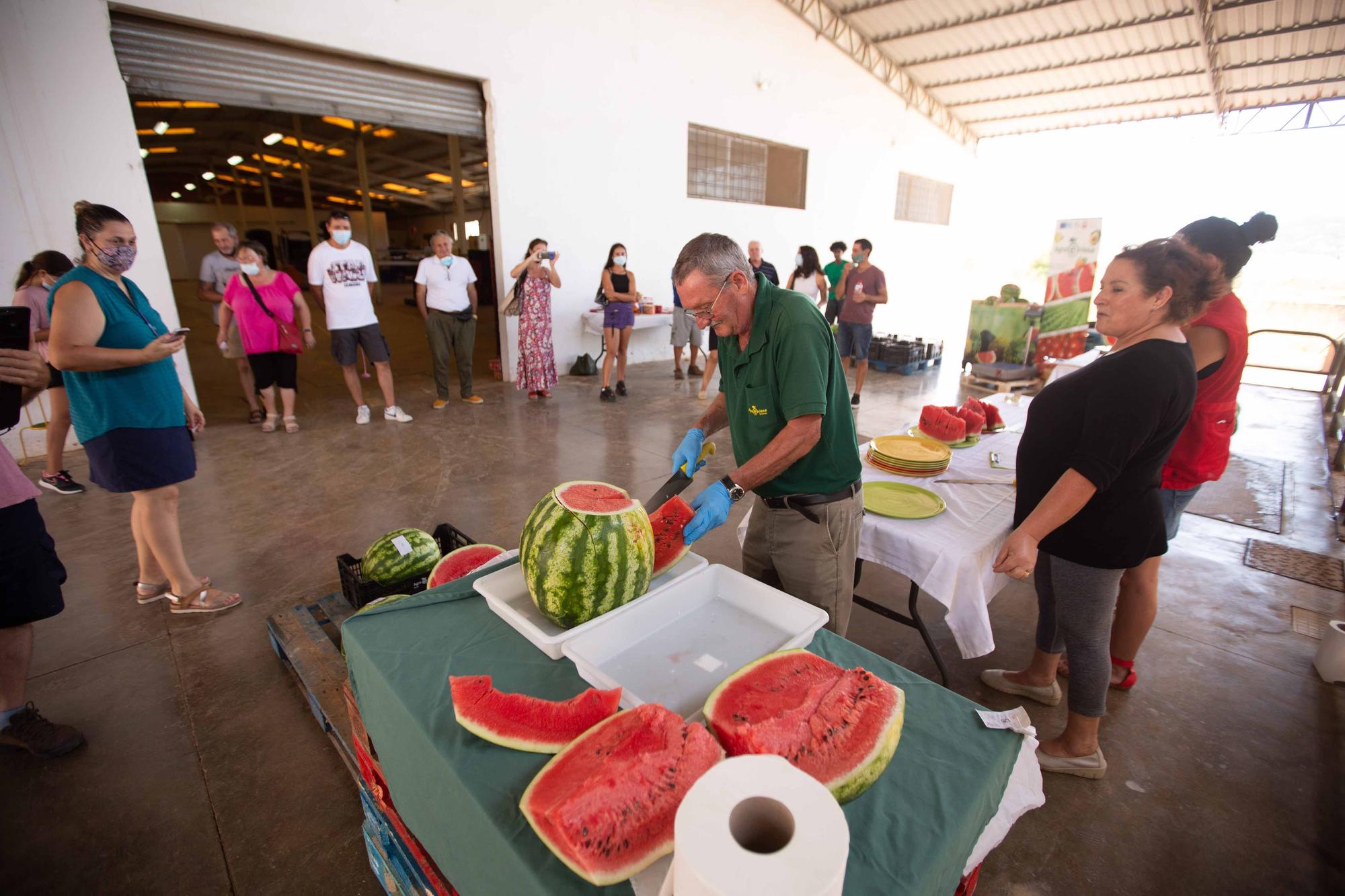 La ‘sandía más grande del mundo’ pesa 20 kilos y es de es Canar