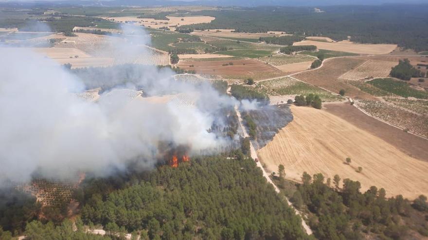 L’incendi forestal a Requena, estabilitzat
