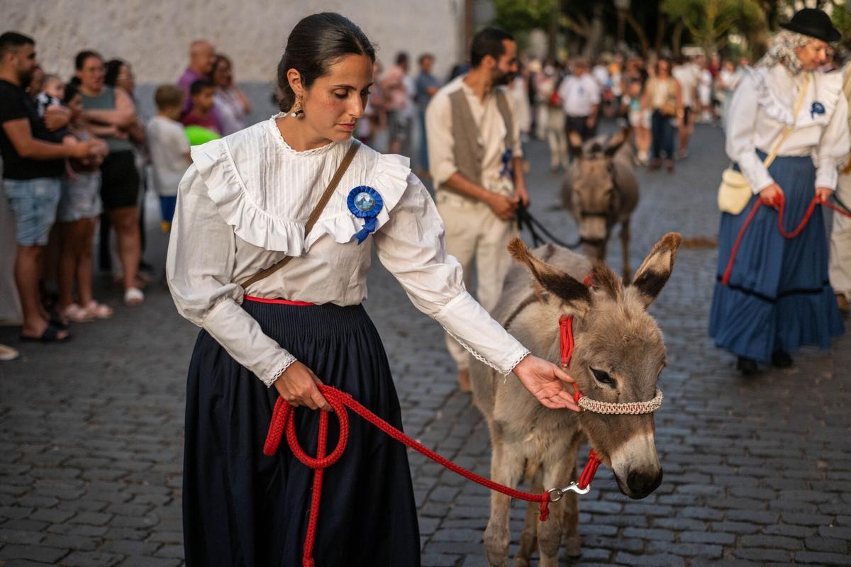 Noche de los Burros en La Laguna