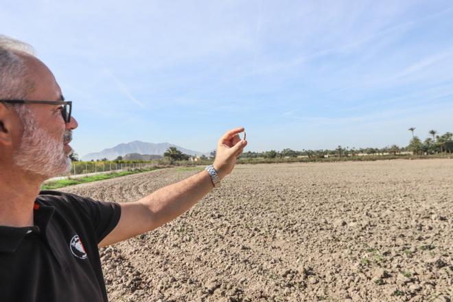Tercera campaña arqueológica en el campo de concentración de Albatera