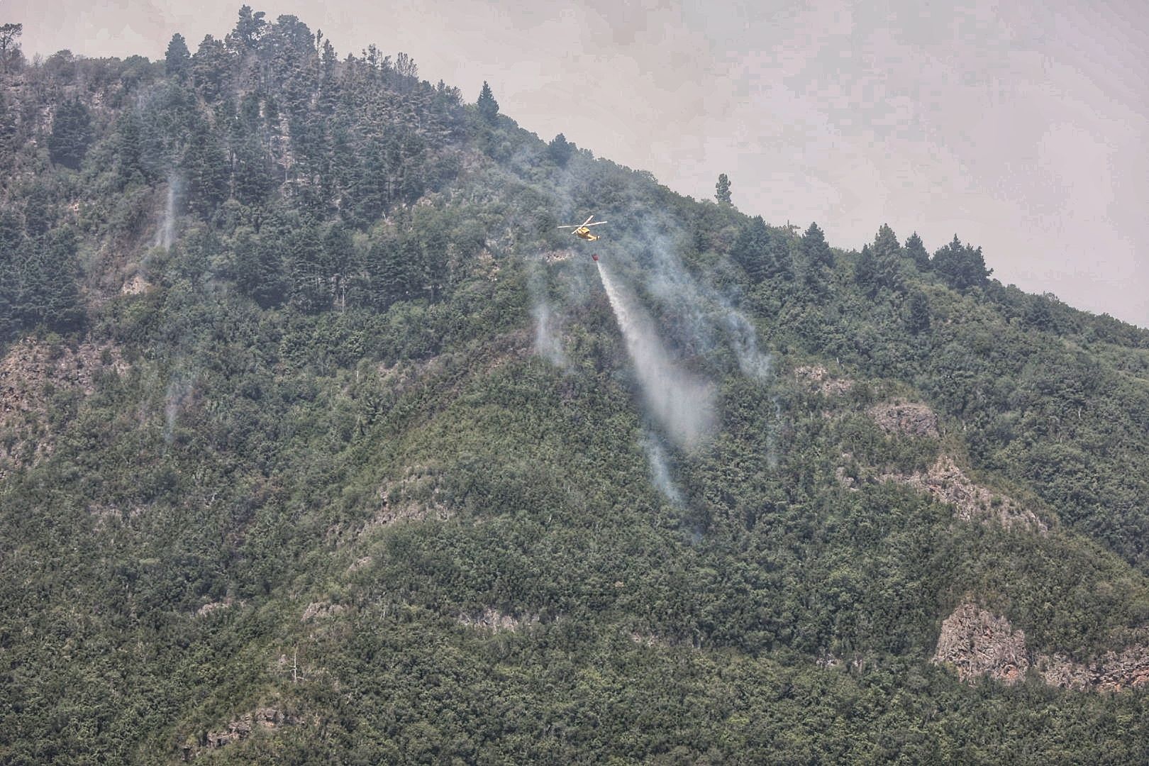 Incendio en el Norte de Tenerife (25/07/22)