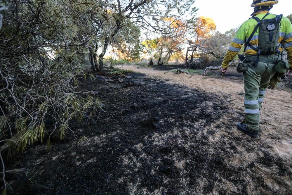 Incendio intencionado en Guardamar del Segura