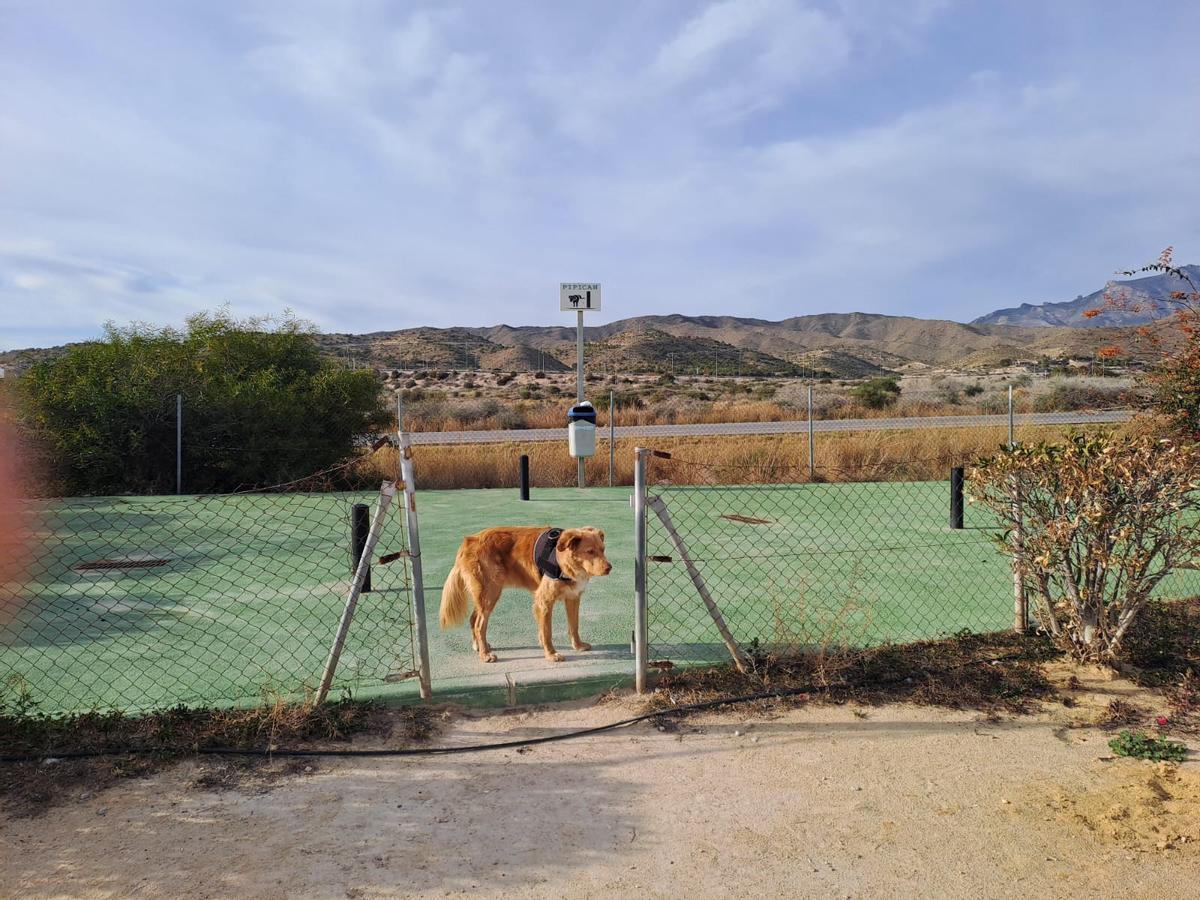 La zona para perros en el parque de Albayna, con la puerta rota