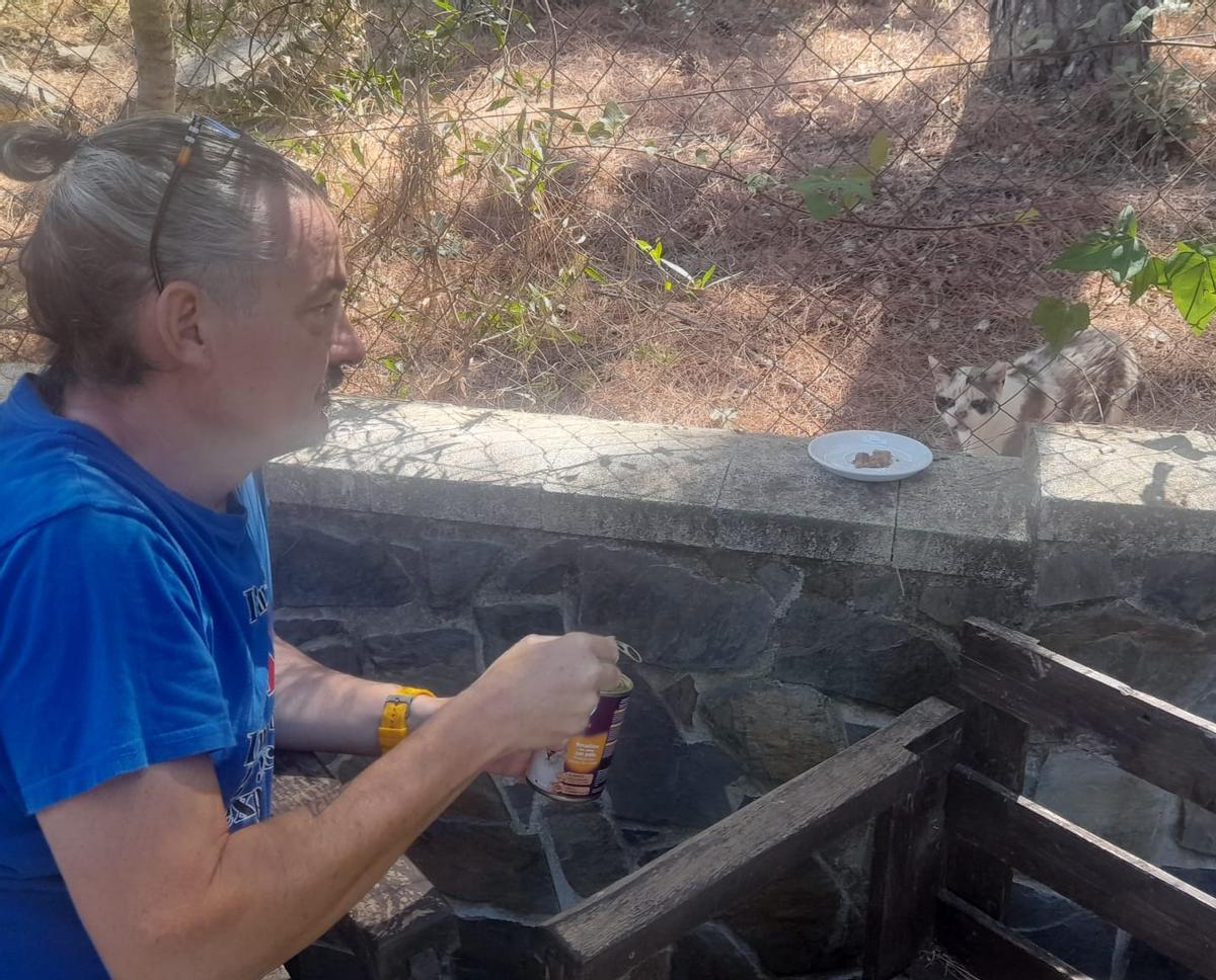 Rafael Varo alimenta a una de las gatas de su colonia incluida en el CER.