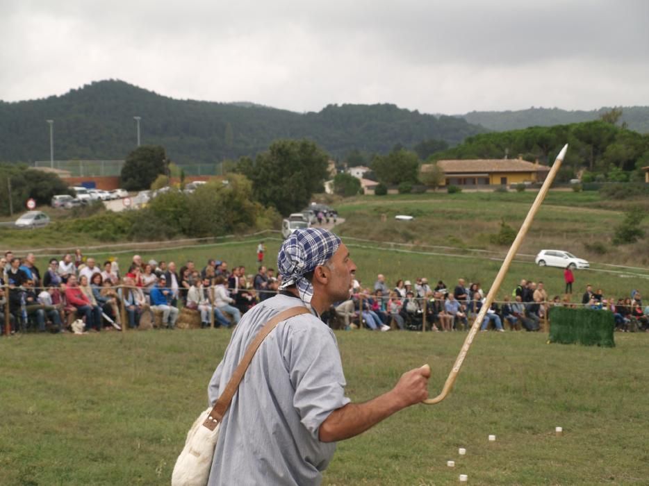 Concurs de gossos d'atura de Castellterçol