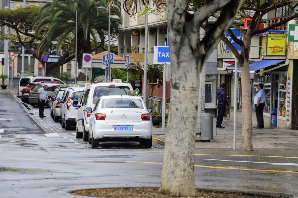 Paseos por La Laguna y Santa Cruz