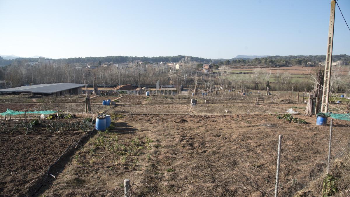 Hi ha mig centenar d’horts municipals al barri del Xup, de Manresa