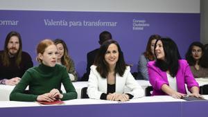 Consejo Ciudadano Estatal de Podemos, el máximo órgano de decisión política del partido