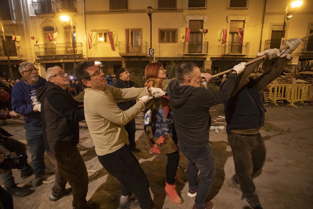 Sant Antoni arranca en Sagunt con la tradicional Plantà del Pi